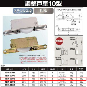 Rdi ˎ 10^ Sg BRGWR 30  TEM-S302