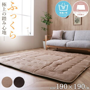 y撅N[|ōő10Itz ~zc  ` O 2 k 40mm ~ 190×190cm O}bg  zbgJ[ybgΉ  J[ybg n NbVO ~