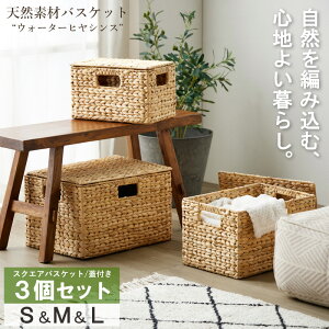 y撅N[|ōő10Itz [3Zbg] oXPbg ӂt  [ EH[^[qVX VRf S/M/L [{bNX ` XNGA oXPbg[  [ e L