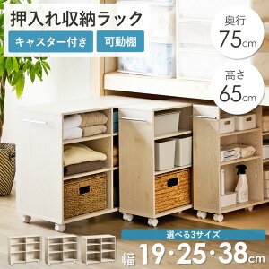 _^ [ bN LX^[t s75.2cm 65cm 3TCY (19/25/38cm) N[[bg[ rO[ Ԏ[ Tj^[[ ړI e X ȃXy[X Vv