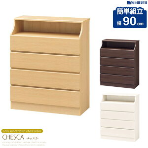 y撅N[|ōő10Itz `FXg 4i 90cm [`FXg `FXJ csc-1190h[Ƌ rO[ `FXg rO`FXg m^X  \y N[[bg o ߗ 