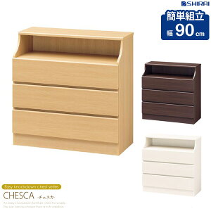 y撅N[|ōő10Itz `FXg 3i 90cm m^X  `FXJ csc-9090h[Ƌ rO[ `FXg rO`FXg [`FXg \y N[[bg o ߗ