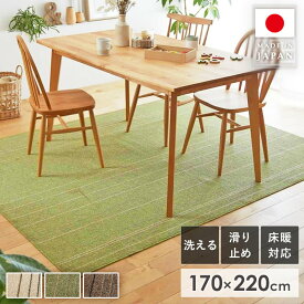 【限定クーポンで最大10％オフ】 ラグ ラグマット 洗えるラグ 日本製 170×220cm 2畳 北欧 おしゃれ 長方形 防ダニ ホットカーペット対応 床暖房対応 滑り止め付き ダイニング カーペット 絨毯 マット リビング ベージュ グリーン ブラウン スミノエ ワイヤーライン works