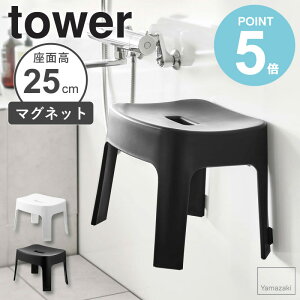 _Tt^ }OlbgCCX ^[ sh25 tower }OlbgC C֎q R C ֎q  }Olbg  25cm oX`FA V[`FA 25cm ǖ  oX[