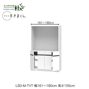 y󒍐YztWC er܂ LSD-M-TVT 161`180cm s42.2cm 155cm(er{[h70cm) er{[h er TCYI[_[ IׂJ[ { Ԏ[ X Vv 