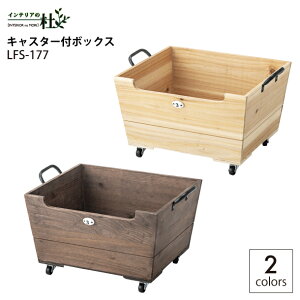 J LX^[t{bNX LFS-177NA LFS-177BR X^bLO W47×D35×H27cm VR  ؐ i y i` uE t [{bNX 