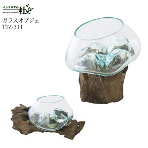 J TTZ-311 KXIuWF _  KX CeA GA[vc ANAE eE |v u  I EɈ 20~30cm ̍ CpNg tFCNO
