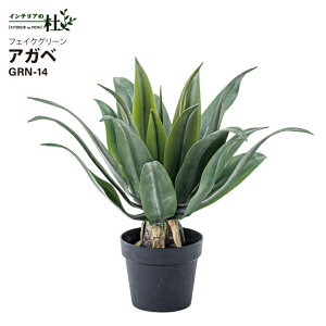 J tFCNO[ tFCNO[ AKx GRN-14 W53×D53×H53cm tFCNO[ ϗtA lHϗtA AKx t  CeA  O[ [t  K[f  