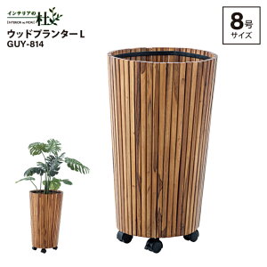 J Ebhv^[L GUY-814 9p 39×H65cm v^[ ؐ  i` uE LX^[t `[N ꕨ ϗtA  CeA CeAG   