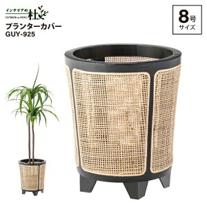 J GUY-925 v^[Jo[ 8p W32×D32×H38cm VR ~fB bJ[h ^ i XNGA Ebhv^[ Jo[ ؐ   CeA 