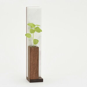 VBix ֑} C^AVR嗝 EH[ibgC { 