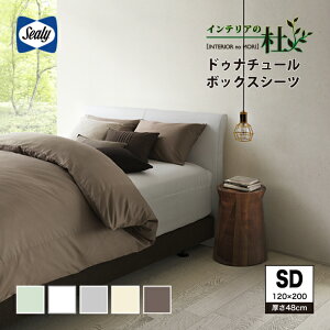 Sealy hDi`[ {bNXV[c H48^Cv Z~_u SD 48cm Z[W zCg RRA ACXO[ N[ V[[xbh V[[ }bgXJo[ xbhJo[ xbhV[c 