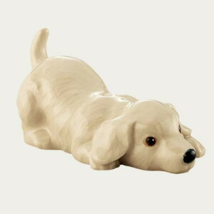 yNoritakeim^Pjz u@_bNX