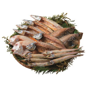 �Y�n�����@�@�y����s�z�@�@�R�A�C�N�@��銱���Z�b�g�@�@�@K8481-803A�@G1580-708A