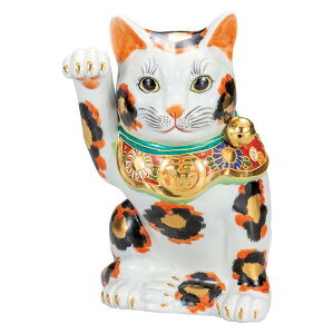 ysz@@yJāz@10LEOс@K9-1666