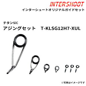 �A�W���O�K�C�h�Z�b�g �`�^��SiC T-KLSG12H7-XUL-IS �X�s�j���O T-KLSG12H T-KLSG7L T-KTSG5 T-KTSG4 T-KTSG3 SiC�����O �x�m�H�� Fuji �t�W �ނ� �t�B�b�V���O �A�W���O �A�W ���o�����O ���o�� �G���A�g���E�g ��