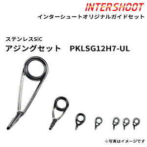 �A�W���O�K�C�h�Z�b�g �X�e�����XSiC PKLSG12H7-UL-IS �X�s�j���O PKLSG12H PKLSG7L PKTSG5 PKTSG4 PKTSG3.5 SiC�����O �x�m�H�� Fuji �t�W �ނ� �t�B�b�V���O �A�W���O �A�W ���o�����O ���o�� �G���A�g���E�g 