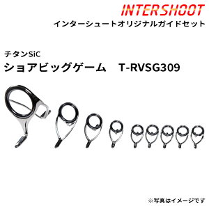 �V���A�r�b�O�Q�[���K�C�h�Z�b�g �`�^��SiC T-RVSG309-IS �X�s�j���O T-RVSG30 T-KWSG20 T-KWSG16 T-KWSG12 T-KWSG10 SiC�����O �x�m�H�� Fuji �t�W �ނ� �t�B�b�V���O ��^�� ��r�I���^ GT �c�i �q���}�T �j��