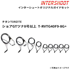 �V���AGT�c�i8���ȏ�K�C�h�Z�b�g �`�^��TORZITE T-RVTG40F9-8G+-IS �X�s�j���O T-RVTG40F T-RVTG30F T-KWTG25 T-KWTG20 T-KWTG16 �g���U�C�g �x�m�H�� Fuji �t�W �ނ� �t�B�b�V���O GT �c�i �q���}�T �j���� ���b�h 