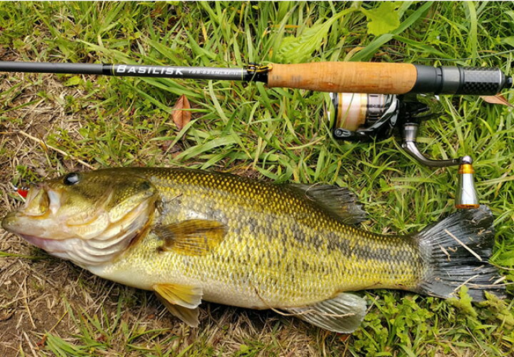 楽天市場】【受注生産】 BASILISK バジリスク TSS-625MLXF-ti バス  