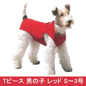 yʌAEgbgzEH[n[g Ts[X@bh j̎q S`3