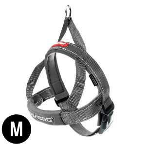 EZYDOG NCbNn[lX M OCmց^C[W[hbO^O[^^IV^U^ybg^^I[XgA^^^^^Lv^AEghAn