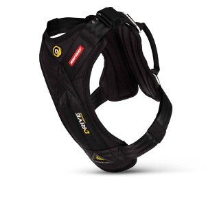 EZYDOG hCun[lX LmAEghA^gx^s^hCu^ԁ^V[gxg^яoh~^C[W[hbO^ybg^^^^^^I[XgA^Lv^AEg