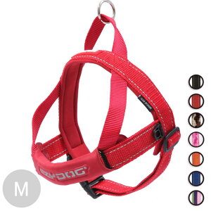 EZYDOG NCbNn[lX Mmց^C[W[hbO^^IV^U^ybg^^I[XgA^^^^^Lv^AEghAn