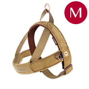 EZYDOG NCbNn[lX R[fC Mm4959283058177^ց^C[W[hbO^^IV^U^ybg^^I[XgA^^^Lv^AEghAn