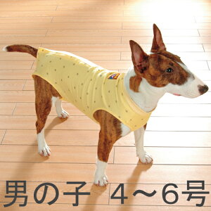 yʌAEgbgzEH[n[g Ts[X@ʃCG[ j̎q 4`6