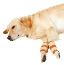楽天市場 犬 肘 犬用品 ペット ペットグッズ の通販 楽天市場 犬 肘 犬用品 ペット ペットグッズ の通販