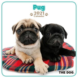 Dog The パグ カレンダー ペットの人気商品 通販 価格比較 価格 Com