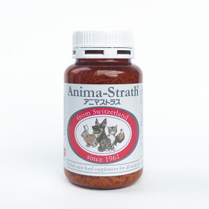 n[uyTvg Aj}XgX ^Cv 100gmXCX^rIXgXy^h{⏕Hi^^L^^tFbg^n