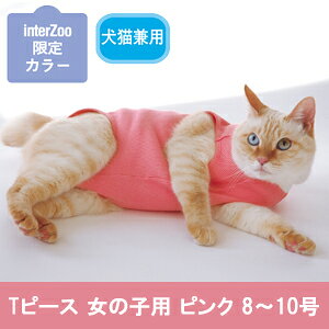 yʌAEgbgzEH[n[g Ts[X@sN ̎q 8`10