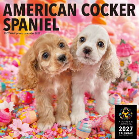 ［公式］PICTWANカレンダー 2027年【L判】アメリカン・コッカー・スパニエル【送料無料】かわいい 犬 子犬 いぬ 壁掛け 犬種別 カレンダー アメコカ AMERICAN COCKER SPANIEL