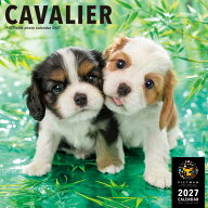 ［公式］PICTWANカレンダー 2027年【L判】キャバリア【送料無料】かわいい 犬 子犬 いぬ 壁掛け 犬種別 …