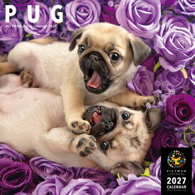 ［公式］PICTWANカレンダー 2027年【L判】パグ【送料無料】かわいい 犬 子犬 いぬ 壁掛け 犬種別 カレンダー PUG
