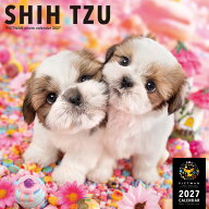 ［公式］PICTWANカレンダー 2027年【L判】シー・ズー【送料無料】かわいい 犬 子犬 いぬ 壁掛け 犬種別 …