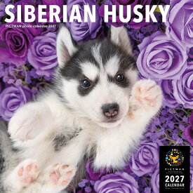 ［公式］PICTWANカレンダー 2027年【L判】シベリアン・ハスキー【送料無料】かわいい 犬 子犬 いぬ 壁掛け 犬種別 カレンダー SIBERIAN HUSKY