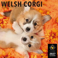 ［公式］PICTWANカレンダー 2027年【L判】ウェルシュ・コーギー【送料無料】かわいい 犬 子犬 いぬ 壁掛…