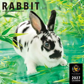 ［公式］PICTWANカレンダー 2027年【L判】ラビット【送料無料】かわいい うさぎ ウサギ 壁掛け カレンダー RABBIT