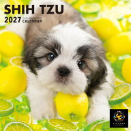 ［公式］PICTWANカレンダー 2027年【S判】シー・ズー【メール便送料無料】