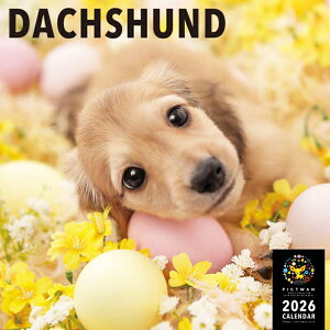 mnPICTWANJ_[ 2026NyLz_bNXthyz킢  q  Ǌ|  J_[ ~j`A_bNX DACHSHUND