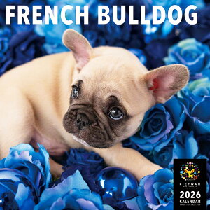 mnPICTWANJ_[ 2026NyLzt`EuhbOyz킢  q  Ǌ|  J_[ t`uhbO tu FRENCH BULLDOG