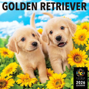 mnPICTWANJ_[ 2026NyLzS[fEg[o[yz킢  q  Ǌ|  J_[ GOLDEN RETRIEVER