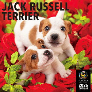 mnPICTWANJ_[ 2026NyLzWbNEbZEeAyz킢  q  Ǌ|  J_[ JRT JACK RUSSELL TERRIER