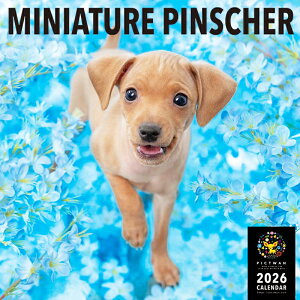 mnPICTWANJ_[ 2026NyLz~j`AEsV[yz킢  q  Ǌ|  J_[ ~js MINIATURE PINSCHER