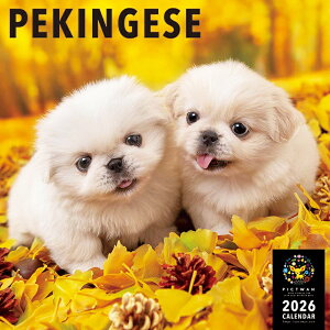 mnPICTWANJ_[ 2026NyLzyLj[Yyz킢  q  Ǌ|  J_[ PEKINGESE