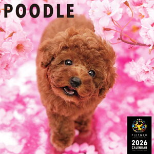 mnPICTWANJ_[ 2026NyLzv[hyz킢  q  Ǌ|  J_[ gCv[h POODLE