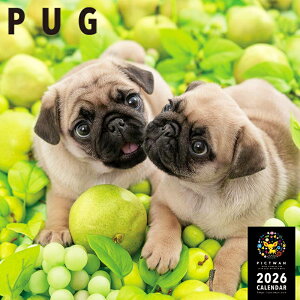 mnPICTWANJ_[ 2026NyLzpOyz킢  q  Ǌ|  J_[ PUG